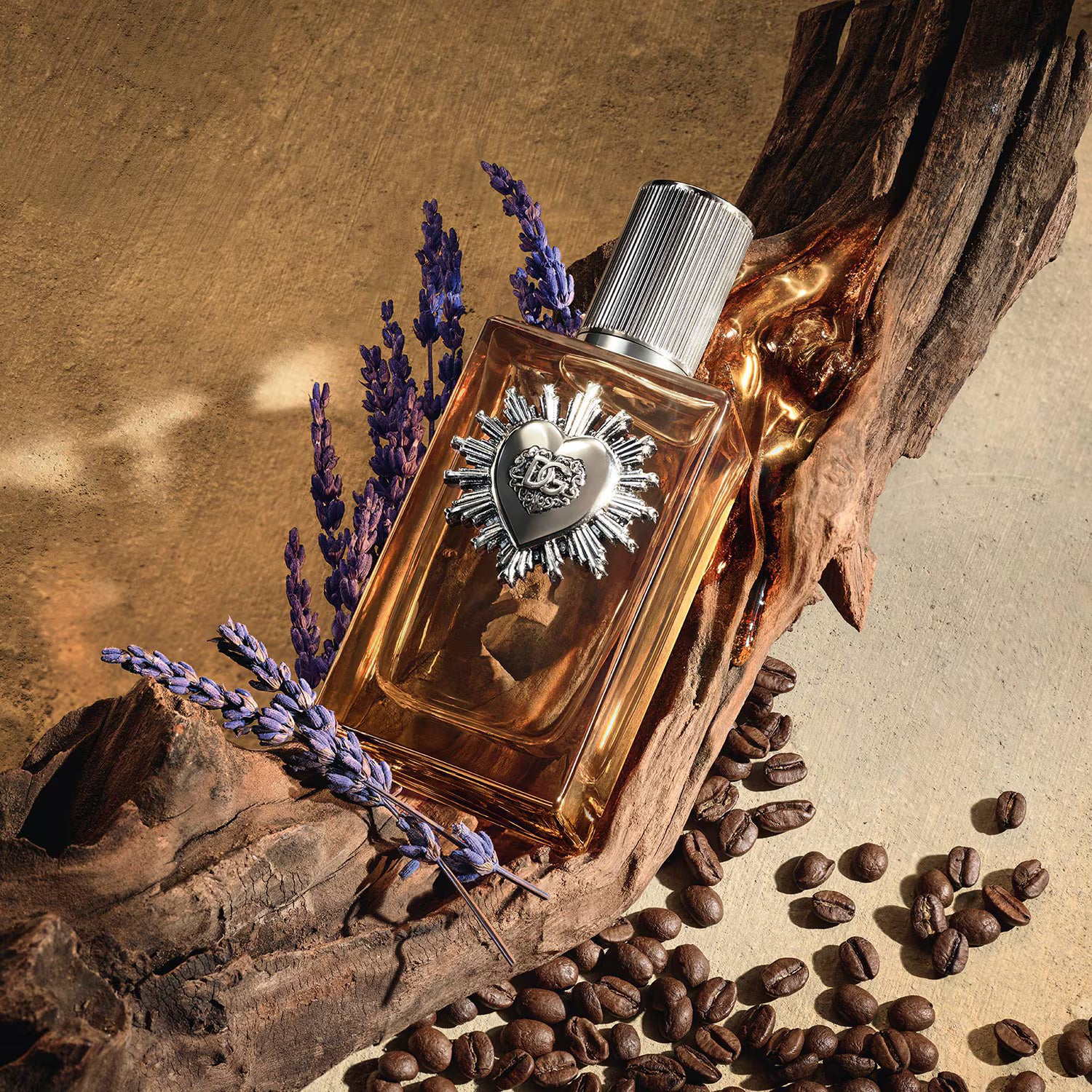 Dolce & Gabbana – Devotion Pour Homme Parfum