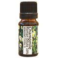 Chamomile Pure Essential Oil