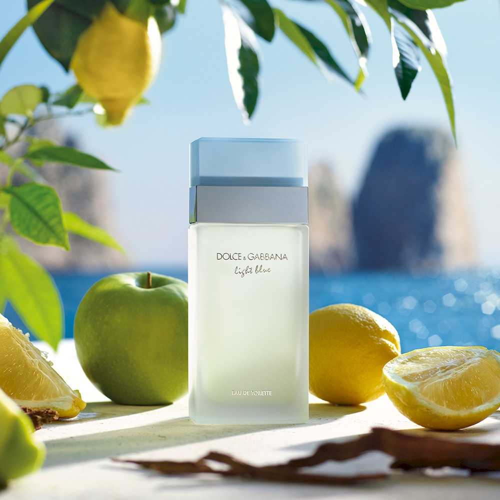 Dolce & Gabbana - Light Blue Eau de Toilette