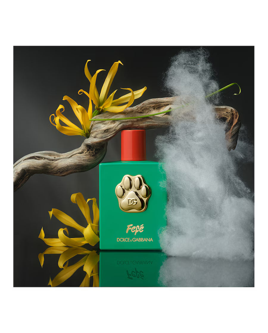 Dolce & Gabbana – Fefé Alcohol-Free Fragrance Mist for Dogs